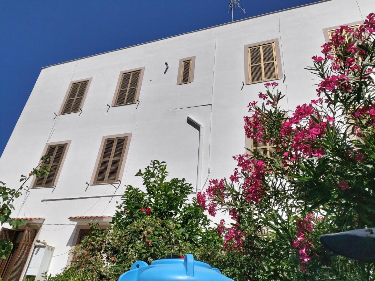 Whole Holiday Home Apartment Splendid Civitavecchia Da Pamino & Priscilla Kültér fotó
